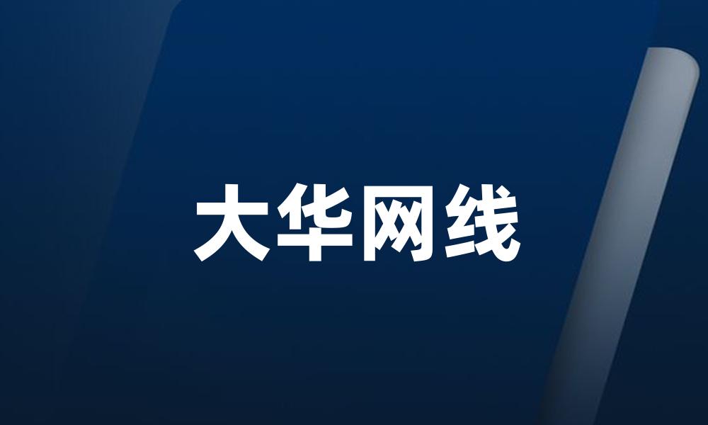 大华网线