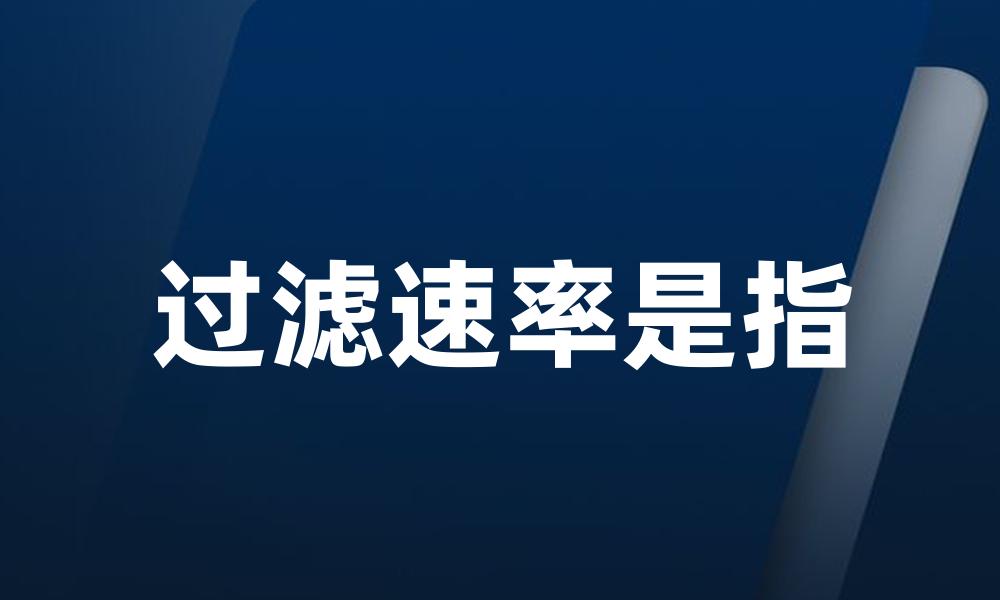 过滤速率是指