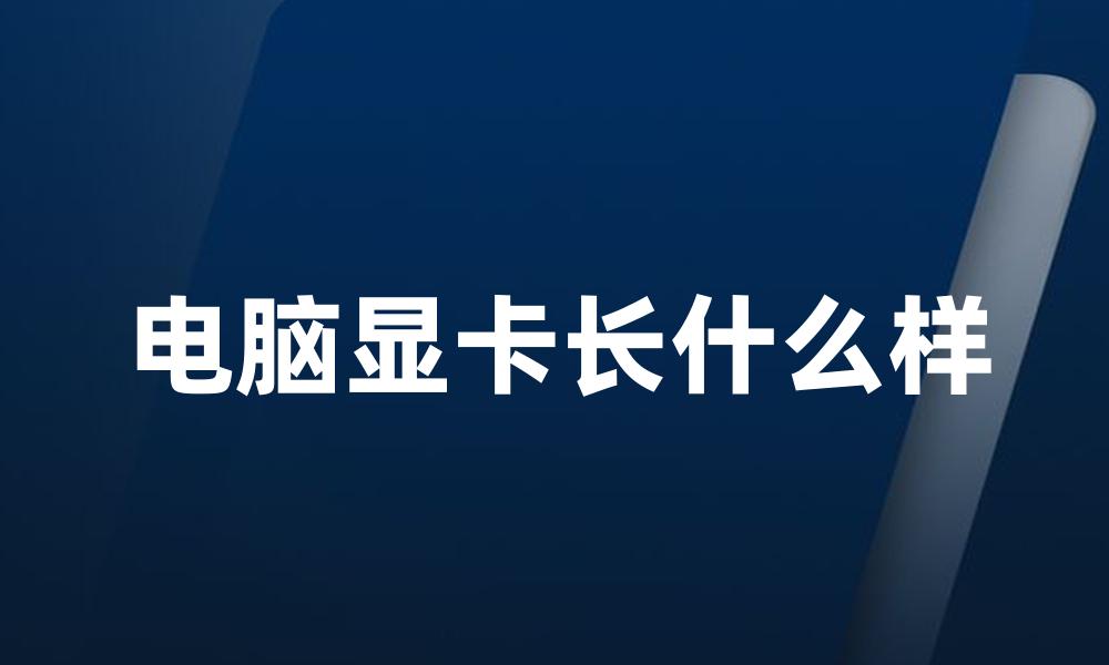 电脑显卡长什么样