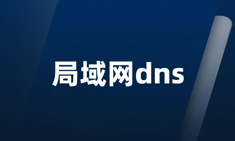局域网dns