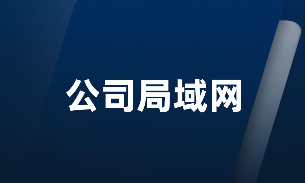 公司局域网