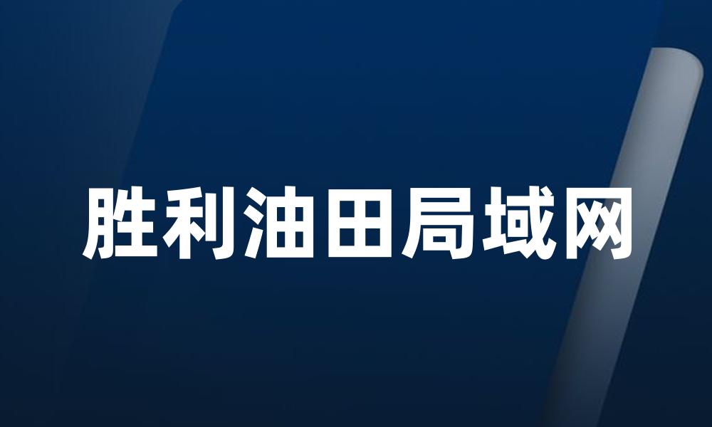 胜利油田局域网