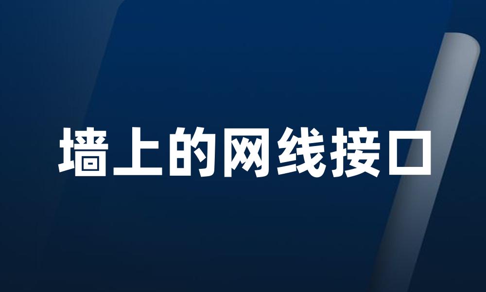 墙上的网线接口