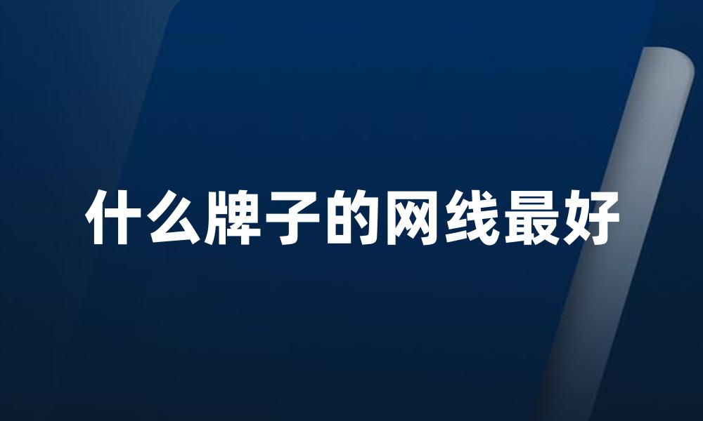 什么牌子的网线最好