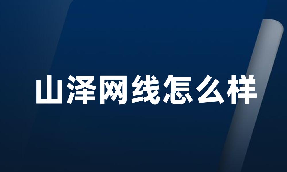 山泽网线怎么样