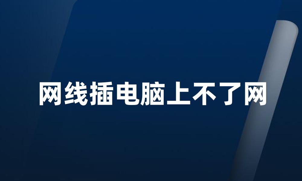 网线插电脑上不了网