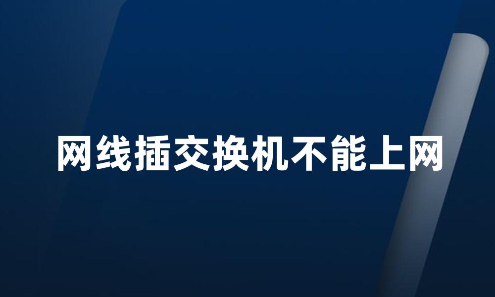 网线插交换机不能上网