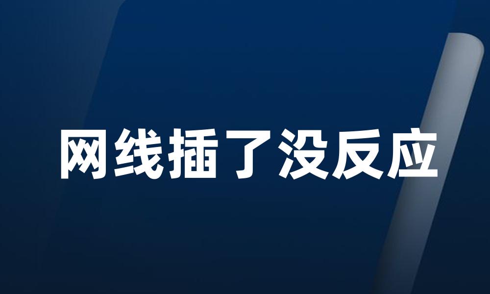 网线插了没反应