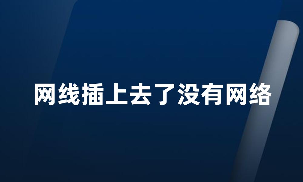 网线插上去了没有网络