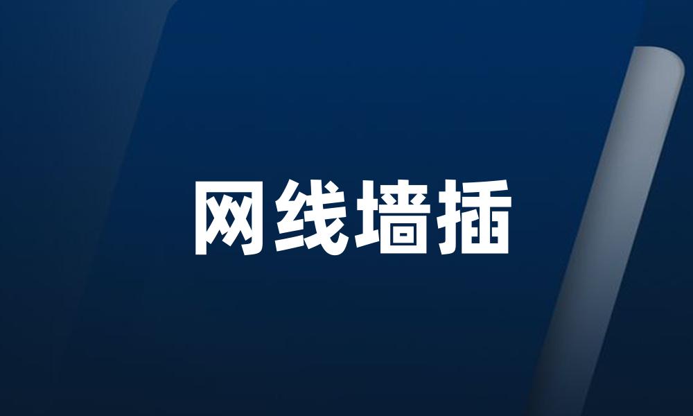 网线墙插