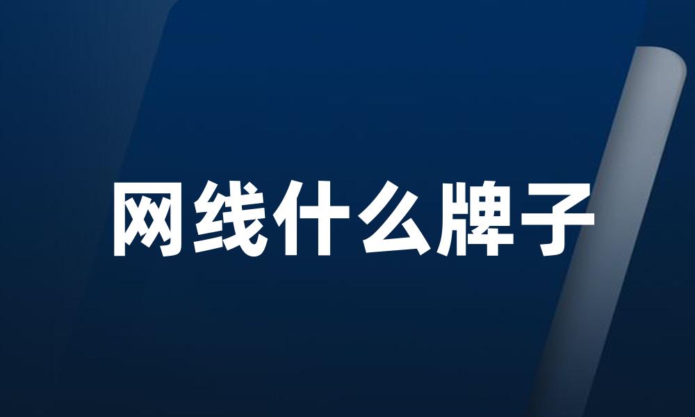 网线什么牌子