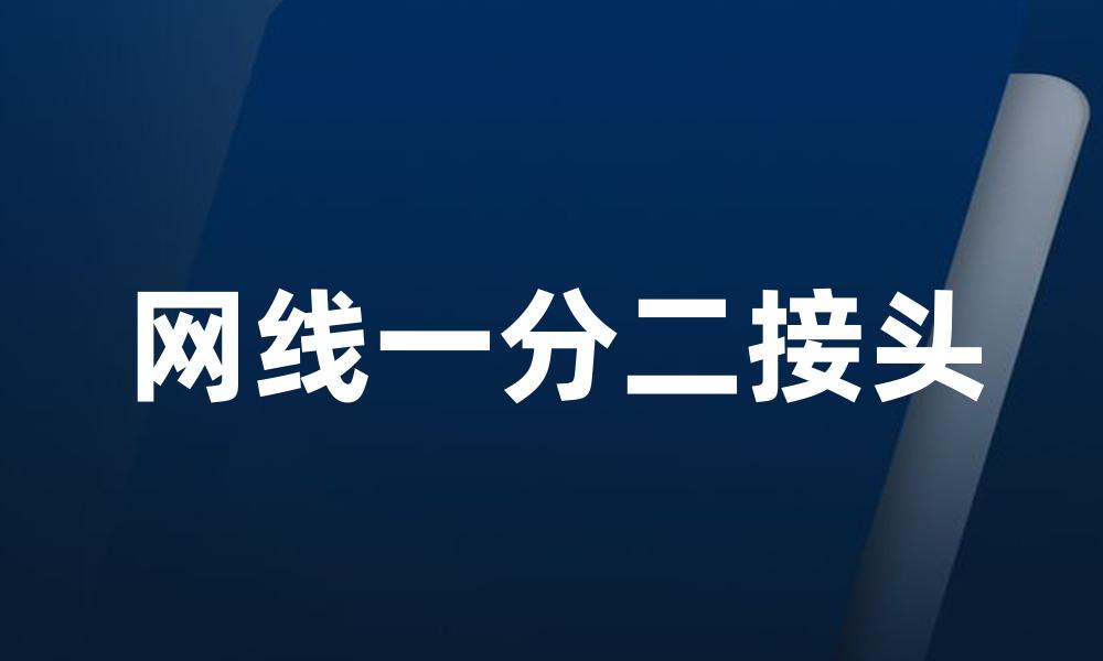 网线一分二接头