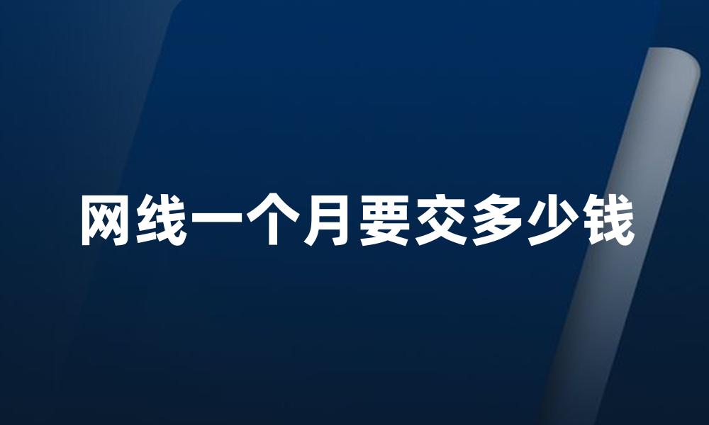 网线一个月要交多少钱