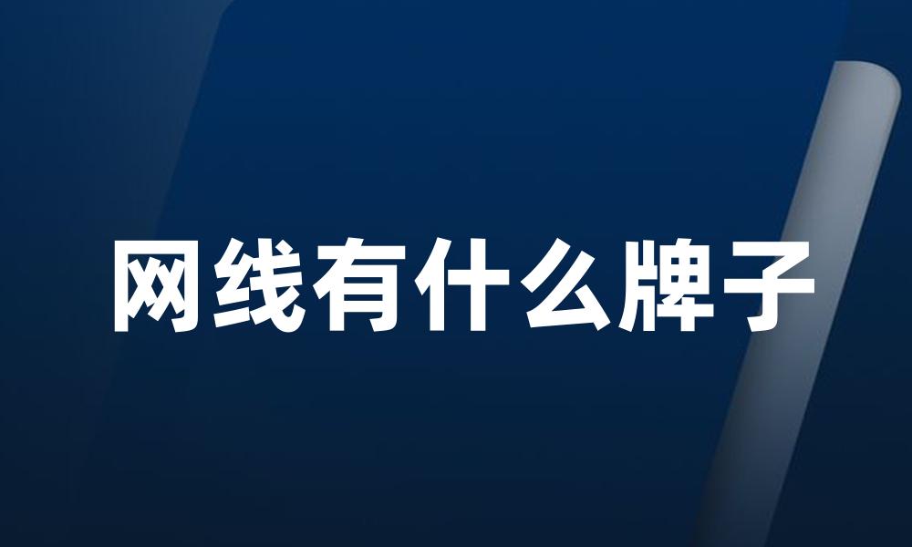 网线有什么牌子