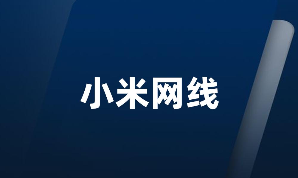 小米网线