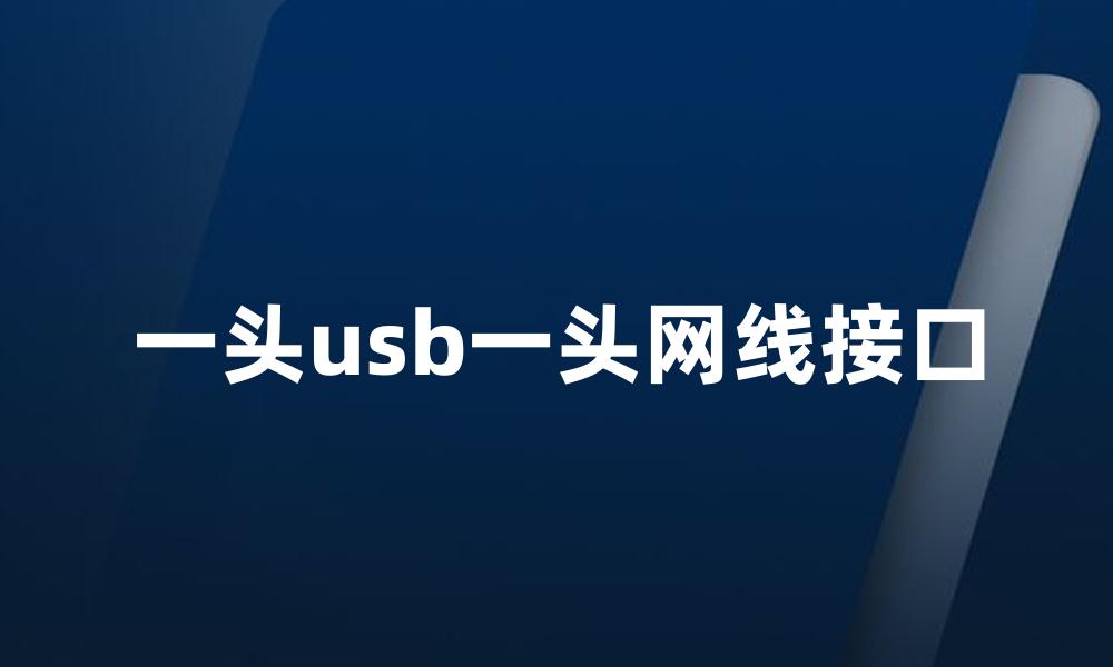 一头usb一头网线接口