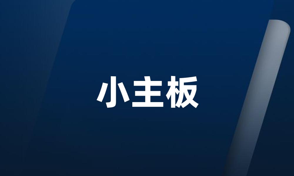 小主板