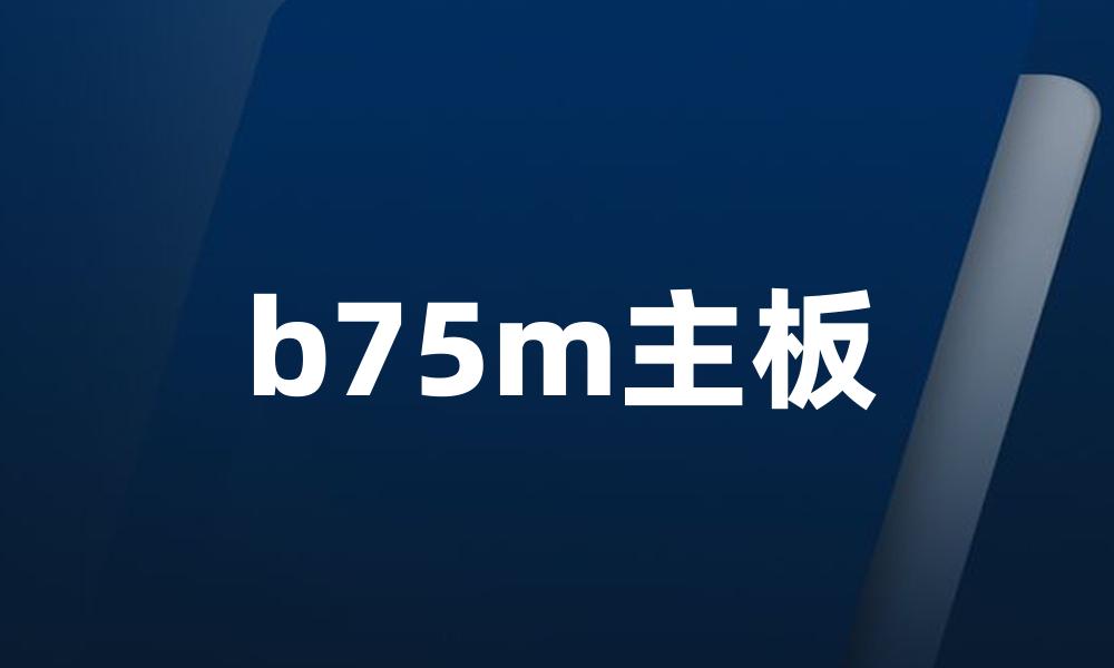 b75m主板