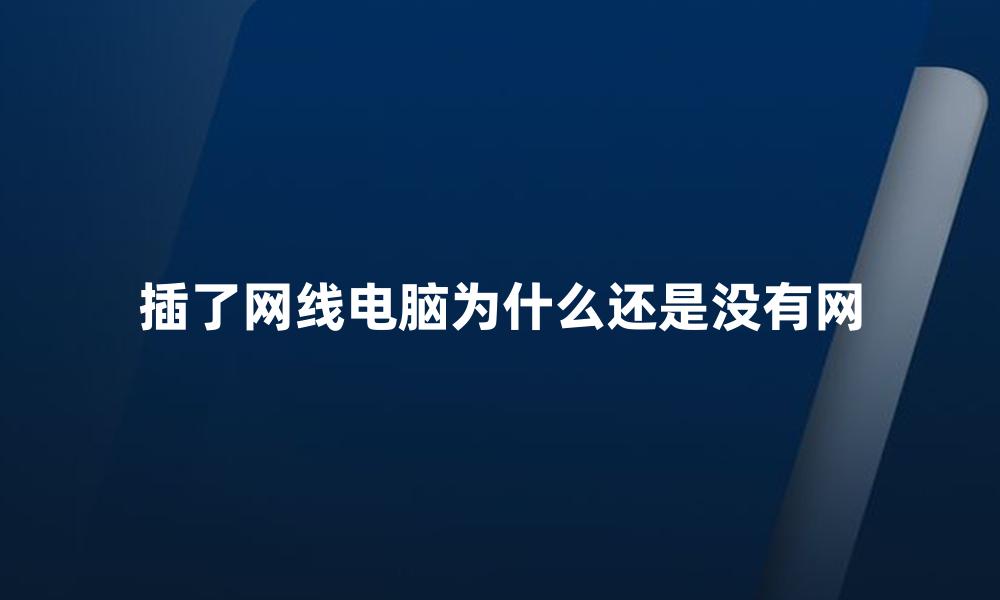插了网线电脑为什么还是没有网