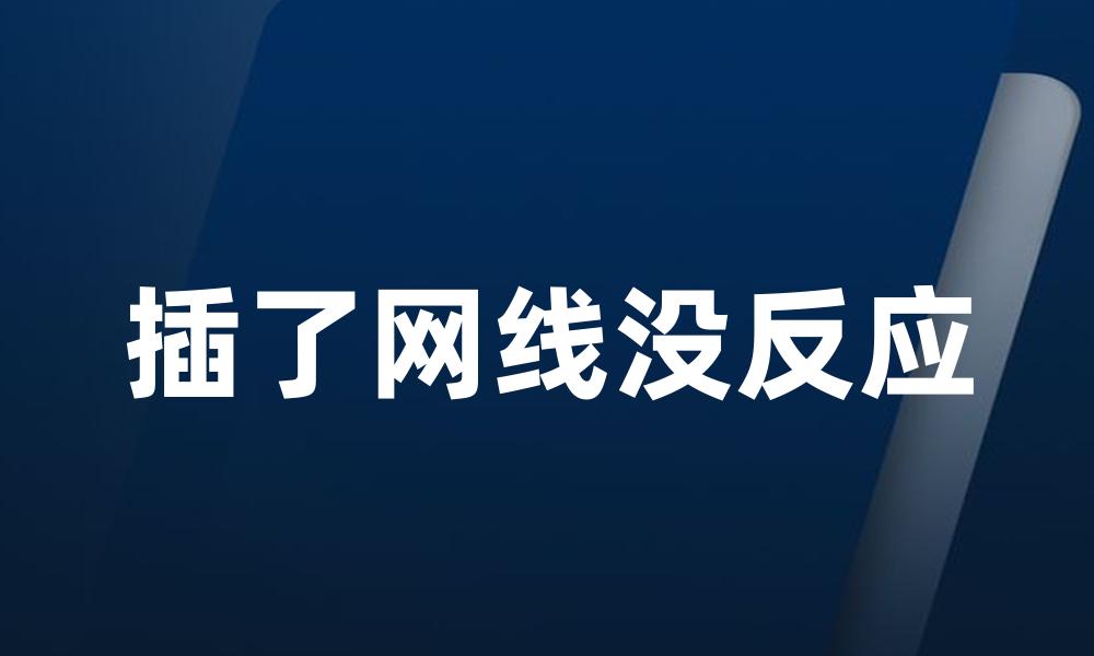 插了网线没反应